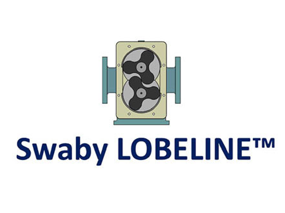 Swaby Lobeline Pumps